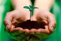 Poor Nghe An woman receives nearly VND1 billion for cancer treatment