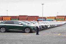 Domestic automobile market experiences hard year