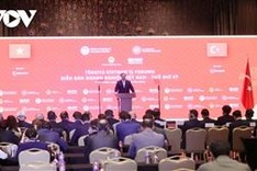 PM Chinh affirms Vietnam’s readiness to facilitate Turkish investments