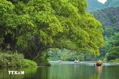 Vietnam posts 271.4 trillion VND in four-month tourism revenue