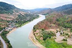 Nghe An forest offers picturesque landscape