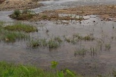 Three girls drown in Phu Yen river