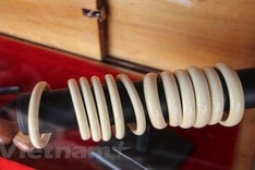 Programme helps fight wildlife violations in Vietnam