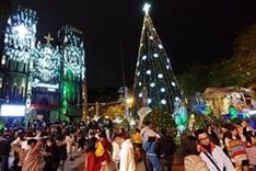 Expats enjoy full and peaceful Christmas in Vietnam amid COVID-19