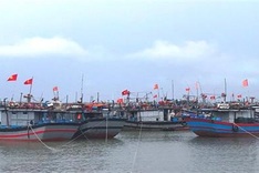 Thua-Thien Hue plans evacuations ahead of super typhoon