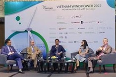 Vietnam has opportunity for energy transition towards green growth