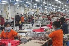 More than 1,000 firms are owing social insurances in Quang Ngai