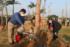 Quang Tri targets to grow one billion trees by 2025