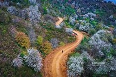 Bridge construction project starts in remote Son La commune