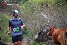 Vietnam Trail Marathon to attract over 3,000 runners