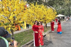 Ao Dai popular for Tet photos