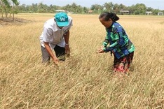 Mekong Delta provinces get help to cope with drought