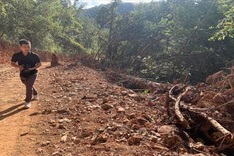 Lam Dong proposed using forest land for road construction