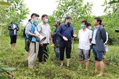 Ministry targets 20 percent rise in planted trees in 2022