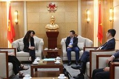 Netflix to establish legal entity in Vietnam