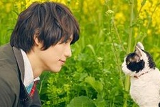 Japanese films to be screened in Vietnam