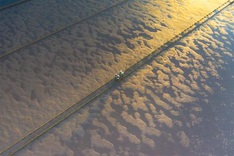 Pure beauty of Thai Binh clam farms