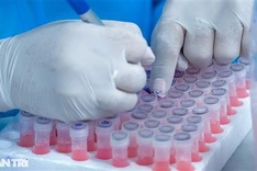 More Omicron cases in Vietnam recover