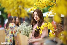 Colourful HCM City as Tet nears