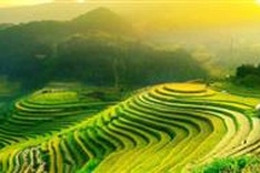 Vietnam among Rough Guide's 20 most beautiful countries