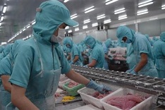 Agro-forestry-fishery exports aim to reach US$60-62 billion by 2030