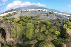 Nam Ô Reef, the green pearl of Đà Nẵng
