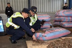 Nearly 900,000 pangolins trafficked in Southeast Asia: watchdog