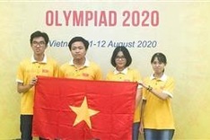 Vietnam wins four prizes at Int’l Biology Olympiad 2020
