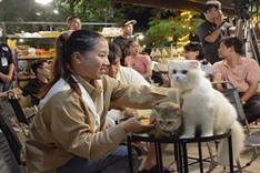 Danang team raises funds for dog and cat rescue