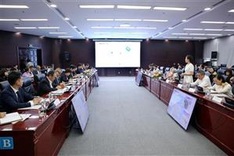 Workshop talks cooperation between Da Nang, Japan