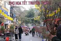 Hanoi to hold 83 Tet flower markets