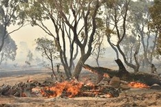 Vietnam suggests completing institutional framework on climate change