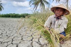 ADB commits climate finance of $10 billion in 2023