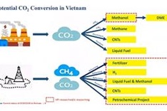 Workshop on carbon capture, use, and storage explores Vietnam potential