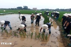 Hanoi promotes experiential tourism linked to heritage, trade villages