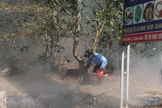 Bà Rịa – Vũng Tàu tightens forest-fire prevention measures