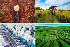 Agricultural sector targets attracting 25 billion USD in FDI by 2030