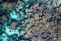 CNN lists best things to do on Phu Quoc