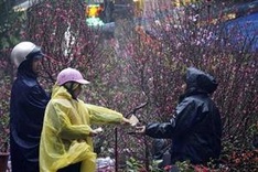 Cold spell poised to hit northern and central regions over Tet