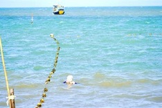Vung Tau marks safe swimming areas