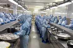 Canadian scholars praise Vietnam’s successes in COVID-19 control, economic development