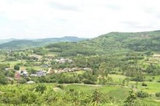 Elderly Phu Yen woman needs help to support disabled sons