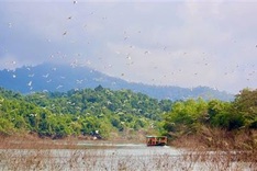 Ha Tinh national park’s pristine beauty