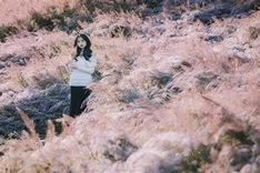 Da Lat’s stunning pink grass hills attract visitors
