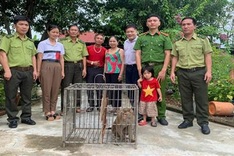 Four rare monkeys handed over to Ha Tinh national park