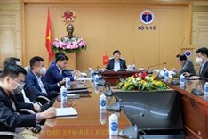 Vietnam, Singapore discuss travel facilitation in new normal