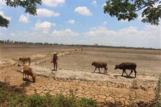 EU supports people affected by drought and saltwater intrusion