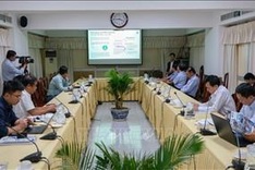 WWF projects helps reduce climate change impacts on Mekong Delta