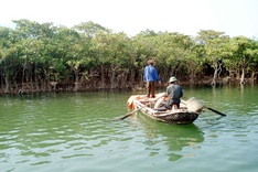 Quang Ninh thermal power plant accused of causing air pollution