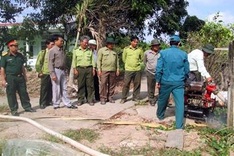 Forest fire danger raised for Mekong Delta